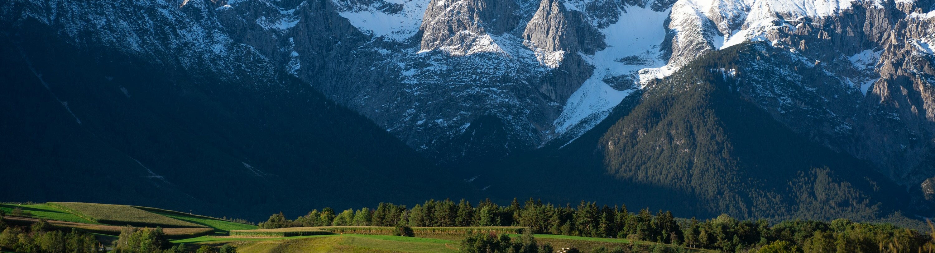 在宅で子育てをしながらFXのRCI手法で専業主婦トレーダーとして活躍するチロルさんの評価レビュー